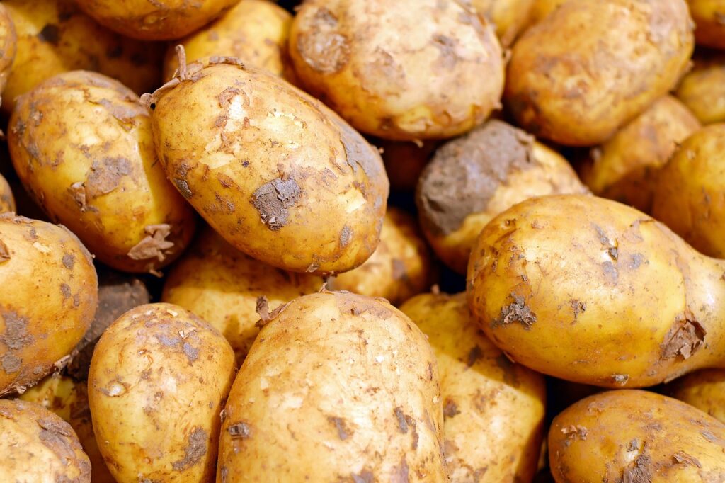 Fermentierte Kartoffeln