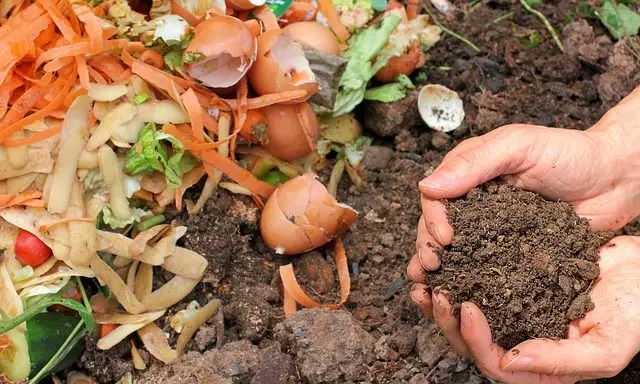 Kompostieren für Anfänger